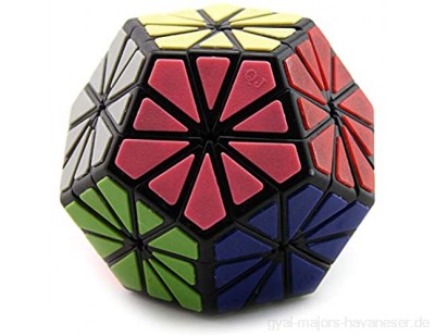 Chrysanthemum Five Magic Cube Shaped Petal 12 Oberflächen Puzzle Magic Cube Adult Students Druck Reduct Spielzeug