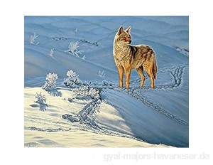 AJleil Puzzle 1000 Teile Malerei Kojote Gottes Hund Tier Wanddekoration Geschenk Puzzle 1000 Teile er Erwachsene Pädagogisches intellektuelles Dekomprimieren50x75cm(20x30inch)