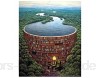 Qingdewan 1000-Teiliges Puzzle Für Erwachsene Und Kinder-Holzpuzzle Forest River Bibliothek Muster Familie Interaktive Spiele Tolle Urlaubsfreizeit