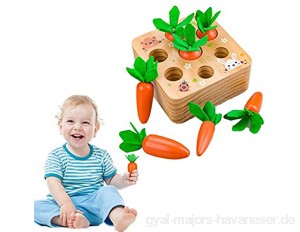 Sunshine smile holzspielzeug Montessori Karotte Spielzeug sortierspiel Holz für Kinder motorik Spielzeug Kleinkind karottenernte Montessori pädagogisches Spielzeug Holz