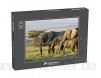 Puzzle 1000 Teile Afrikanische Elefanten auf der Masai Mara Kenia Afrika - Klassische Puzzle mit edler Motiv-Schachtel Fotopuzzle-Kollektion \'Tiere\'