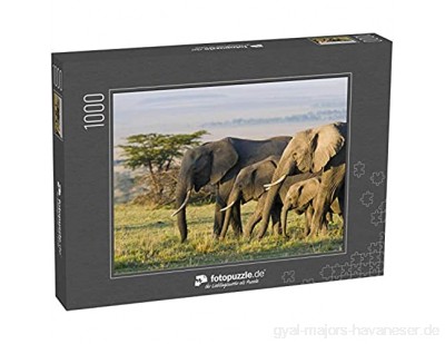 Puzzle 1000 Teile Afrikanische Elefanten auf der Masai Mara Kenia Afrika - Klassische Puzzle mit edler Motiv-Schachtel Fotopuzzle-Kollektion \'Tiere\'