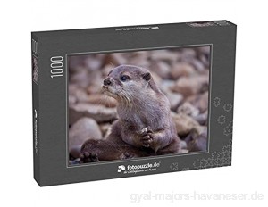 Puzzle 1000 Teile Otter beim Spielen im Wasser - Klassische Puzzle mit edler Motiv-Schachtel Fotopuzzle-Kollektion 'Tiere'