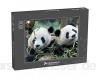 Puzzle 1000 Teile Panda-Bär - Klassische Puzzle mit edler Motiv-Schachtel Fotopuzzle-Kollektion \'Tiere\'