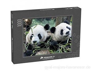 Puzzle 1000 Teile Panda-Bär - Klassische Puzzle mit edler Motiv-Schachtel Fotopuzzle-Kollektion 'Tiere'