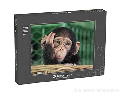 Puzzle 1000 Teile Schimpansengesicht - Klassische Puzzle mit edler Motiv-Schachtel Fotopuzzle-Kollektion \'Tiere\'