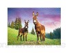 Ulmer Puzzleschmiede - Puzzle „ALM-Esel“ – Klassisches 1000 Teile Tier-Puzzle – Puzzlemotiv zweier Esel auf grüner ALM-Wiese in den bayerischen Alpen - modernes Tier-Portrait als Puzzle
