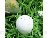 Amosfun Züchten Sie Eier im Wasser wachsen Sie Dinosaurier wachsen schlüpfende Dino-Ei Spielzeug für Kinder 6 Stück