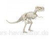 Depesche 6744 Ausgrabungs-Set Dino World Gipsblock mit einem T-Rex Skelett