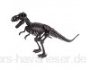 Geoworld 625262 - Dr. Steve Hunters: Dino Ausgrabungs-Set M - T-Rex-Skelett Alter: 6+ Größe: 34 cm