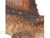 Papo 55077 - Spinosaurus Aegyptiacus
