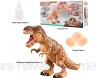SHOH Elektrisch Dinosaurier Spielzeug Kinder Tyrannosaurus Rex Spielzeug Mit Dinosaurier-Ei Und Brüllendem Dinosaurier-Sound Realistisches Dinosaurier Spielzeug Für 2 3 4 5 6 7 Jahre Junge