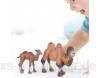 2Pcs Tiermodell Spielzeug Miniatur Realistische Wissenschaft Kunststoff Tier Kamel Modell Kamel Bildungsmodell für Kinder Frühe Bildung