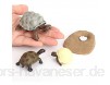 Perfeclan Plastik schildkröte lebenszyklus Marine Tier Modell spielset Kinder Kinder Vorschule rziehung biologie Spielzeug lehrmittel Rollenspiel Thema Party