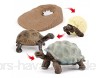 Perfeclan Plastik schildkröte lebenszyklus Marine Tier Modell spielset Kinder Kinder Vorschule rziehung biologie Spielzeug lehrmittel Rollenspiel Thema Party