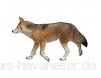 Safari 113089 Coyote