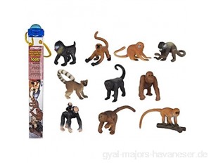 Safari Affen und Affen.