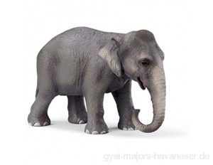 SCHLEICH 14344 - Wild Life Asiatische Elefantenkuh