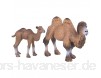 Tiermodell Spielzeug 2 Stücke Miniatur realistische Wissenschaft Kunststoff Tier Kamel Modell Abbildung Simulation Kamel Tier pädagogisches Modell Spielzeug für Kinder