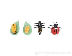 TOYANDONA Insekten Lebenszyklus Figuren Realistische Insekten Figuren Spielzeug Zeigt Metamorphose von Tierwissenschaft Stammspielzeug für Kinder Käfer