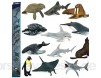 windyday 12 Stück Simulierte Meerestiere Spielzeug Mini Tiere Figuren Kunststoff Marine Badespielzeug Modelle Umweltfreundlich Und Ungiftig Kinder Pädagogisches Lernspielzeug