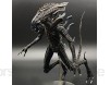 jiamin Alien: Generation Von Alien Earl Kampfausländer Bewegliche Gelenke PVC Abbildung - 7 Zoll (Nicht Originale Version)