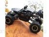 AIOJY 2020 Neue Monster-Truck-Legierung Geländewagen Hight Geschwindigkeit RC Autos 1/12 4WD Rc Autos for Jungen-Mädchen-Kind Erwachsene LKW 2.4G Fernsteuerungsauto- Crawler