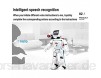 LNHJZ Ferngesteuertes Roboterspielzeug Wasserkraft-Hybrid wiederaufladbares Programm Interaktiver Roboter mit Infrarot-Steuerung LED-Augen Gestenerkennung Gehen Tanzen Singen für Kinder