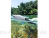 PowerVision PowerDolphin Wizard 220° Doppelgelenk 4K Kamera Wasseroberfläche Drohne Fernsteuerung Mobile Sonar Fisch Finding Angelköder Boot 10000127-00